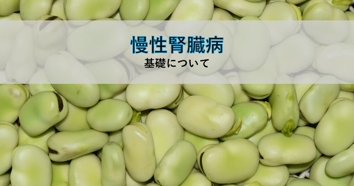 慢性腎臓病 基礎について ― 腎臓に形が似たそら豆のアイキャッチ画像