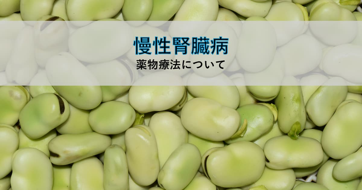 慢性腎臓病 薬物療法について ― 腎臓に形が似たそら豆のアイキャッチ画像