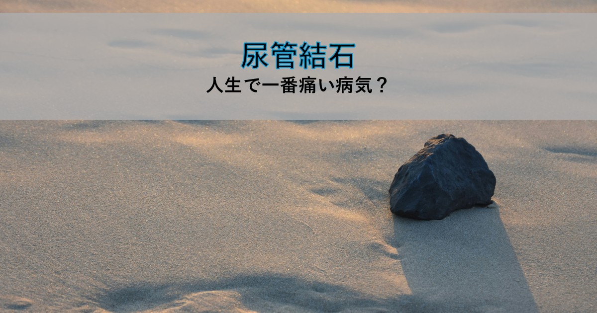 砂浜にぽつんと置かれた小さな黒い石。記事タイトル「尿管結石 人生で一番痛い病気？」の文字が重ねられている